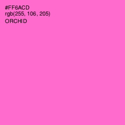 #FF6ACD - Orchid Color Image
