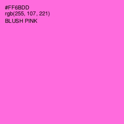 #FF6BDD - Blush Pink Color Image