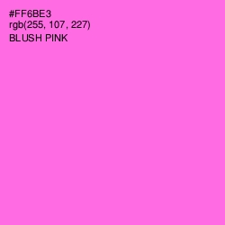 #FF6BE3 - Blush Pink Color Image