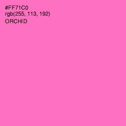 #FF71C0 - Orchid Color Image