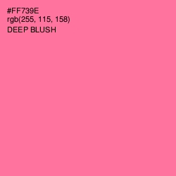 #FF739E - Deep Blush Color Image