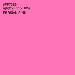#FF73B9 - Persian Pink Color Image
