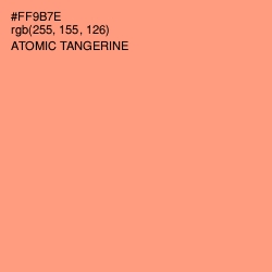 #FF9B7E - Atomic Tangerine Color Image