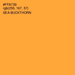 #FFA739 - Sea Buckthorn Color Image