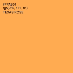 #FFAB51 - Texas Rose Color Image