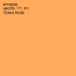 #FFAB5B - Texas Rose Color Image