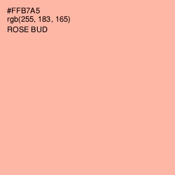 #FFB7A5 - Rose Bud Color Image