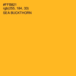 #FFB821 - Sea Buckthorn Color Image