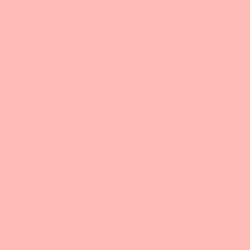 #FFBCB7 - Sundown Color Image