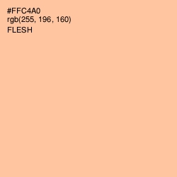 #FFC4A0 - Flesh Color Image