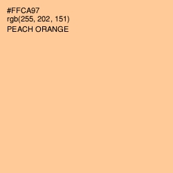 #FFCA97 - Peach Orange Color Image