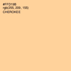 #FFD19B - Cherokee Color Image