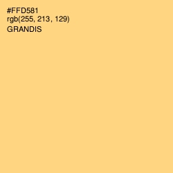 #FFD581 - Grandis Color Image