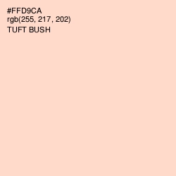 #FFD9CA - Tuft Bush Color Image