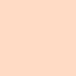 #FFDAC4 - Tuft Bush Color Image