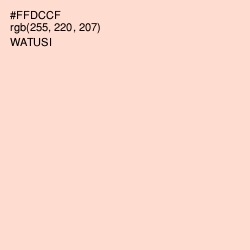 #FFDCCF - Watusi Color Image