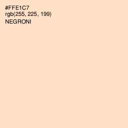 #FFE1C7 - Negroni Color Image