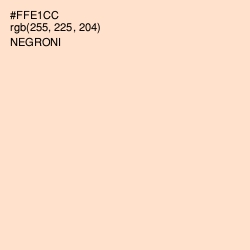 #FFE1CC - Negroni Color Image
