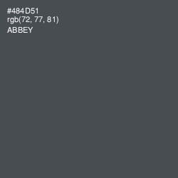 #484D51 - Abbey Color Image