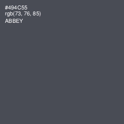 #494C55 - Abbey Color Image