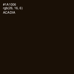 #1A1006 - Acadia Color Image