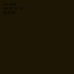 #1E1605 - Acadia Color Image