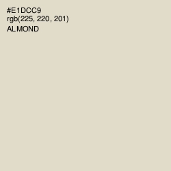 #E1DCC9 - Almond Color Image