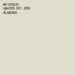 #E1DDCD - Almond Color Image