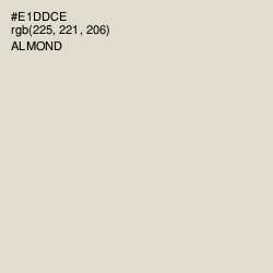 #E1DDCE - Almond Color Image