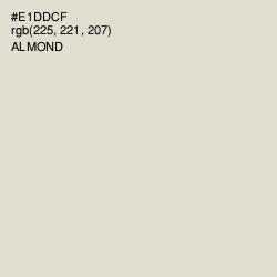 #E1DDCF - Almond Color Image