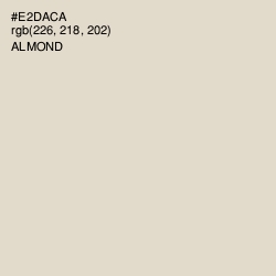 #E2DACA - Almond Color Image