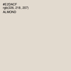 #E2DACF - Almond Color Image