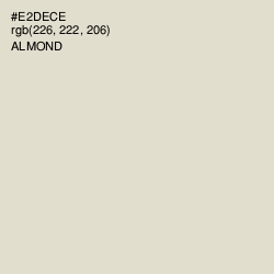 #E2DECE - Almond Color Image