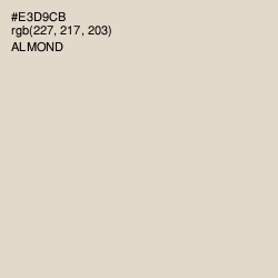 #E3D9CB - Almond Color Image
