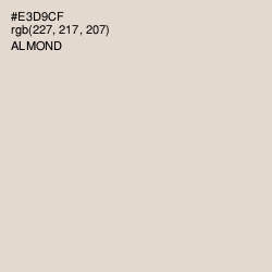 #E3D9CF - Almond Color Image