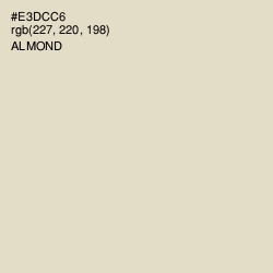 #E3DCC6 - Almond Color Image