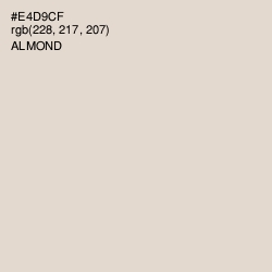 #E4D9CF - Almond Color Image