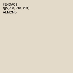 #E4DAC9 - Almond Color Image