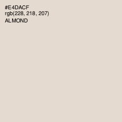 #E4DACF - Almond Color Image