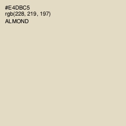 #E4DBC5 - Almond Color Image