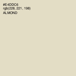 #E4DDC6 - Almond Color Image