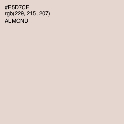 #E5D7CF - Almond Color Image