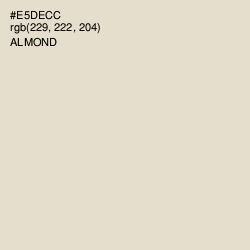 #E5DECC - Almond Color Image