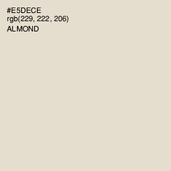 #E5DECE - Almond Color Image