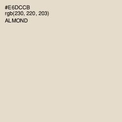 #E6DCCB - Almond Color Image