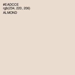 #EADCCE - Almond Color Image