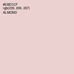 #EBD1CF - Almond Color Image