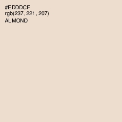 #EDDDCF - Almond Color Image