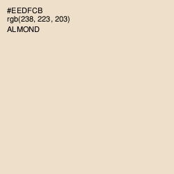 #EEDFCB - Almond Color Image