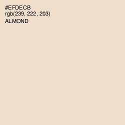 #EFDECB - Almond Color Image